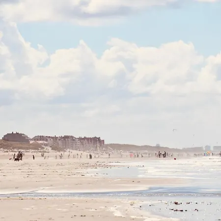 Seanest - North Sea *