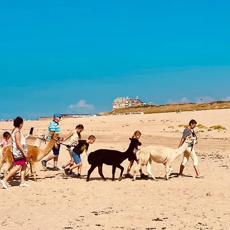 Apartment Seanest - North Sea