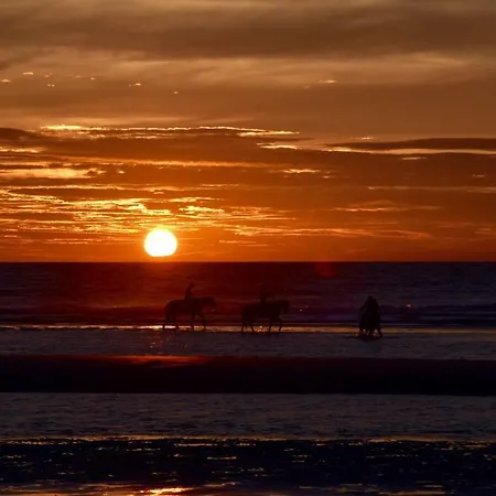 Seanest - North Sea Apartment *