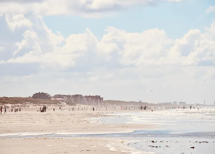 Seanest - North Sea *