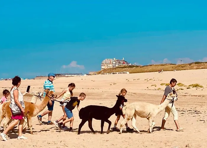 公寓 Seanest - North Sea