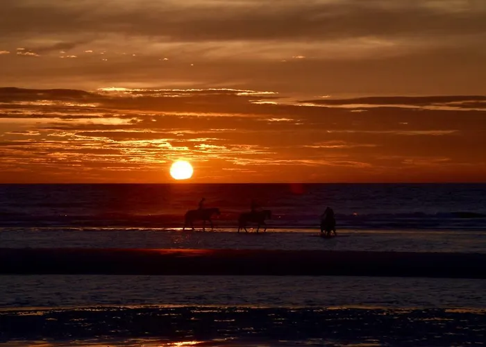 Seanest - North Sea 公寓 *